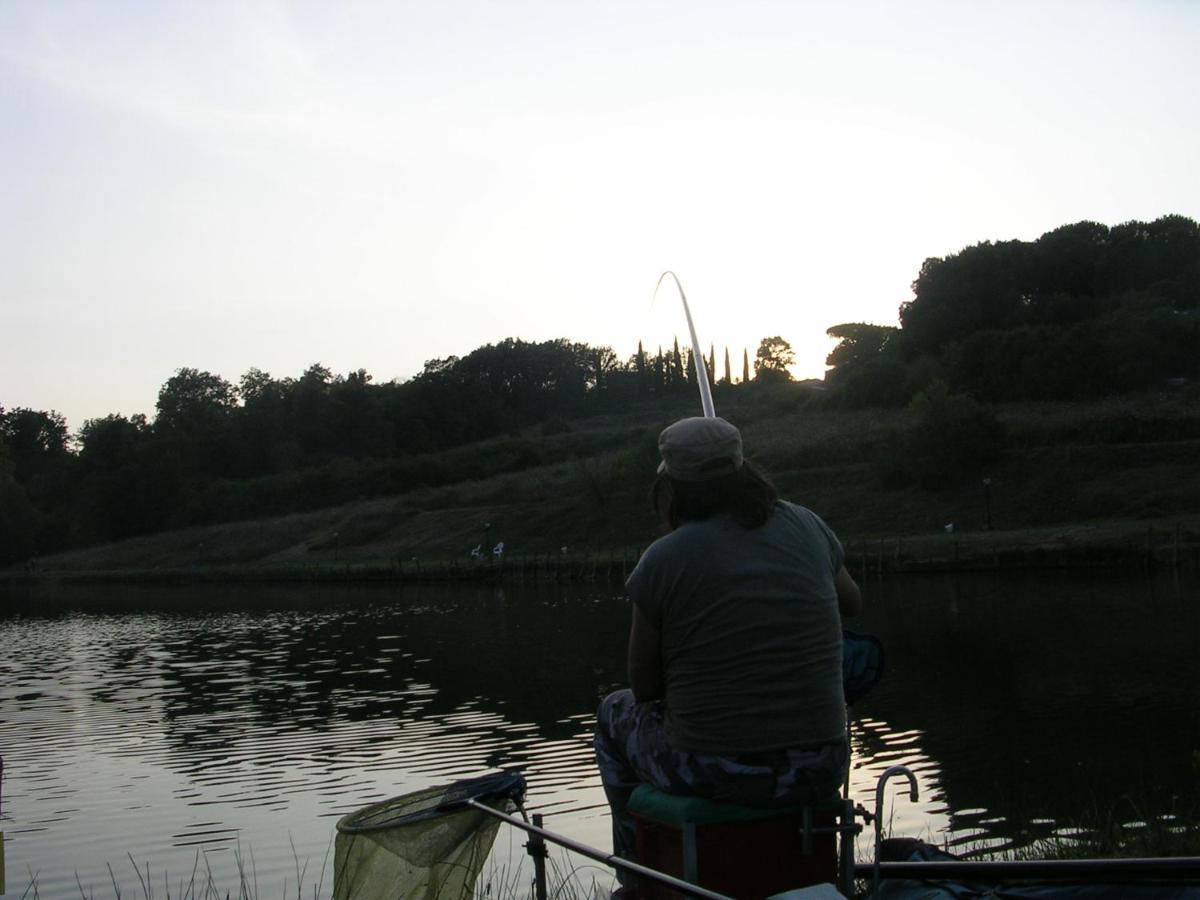 Da Simone Podere Santi Lucia E Pietro シエーナ エクステリア 写真